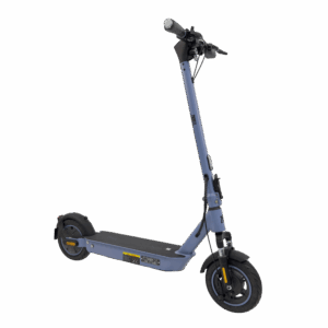 zfoxmax 03