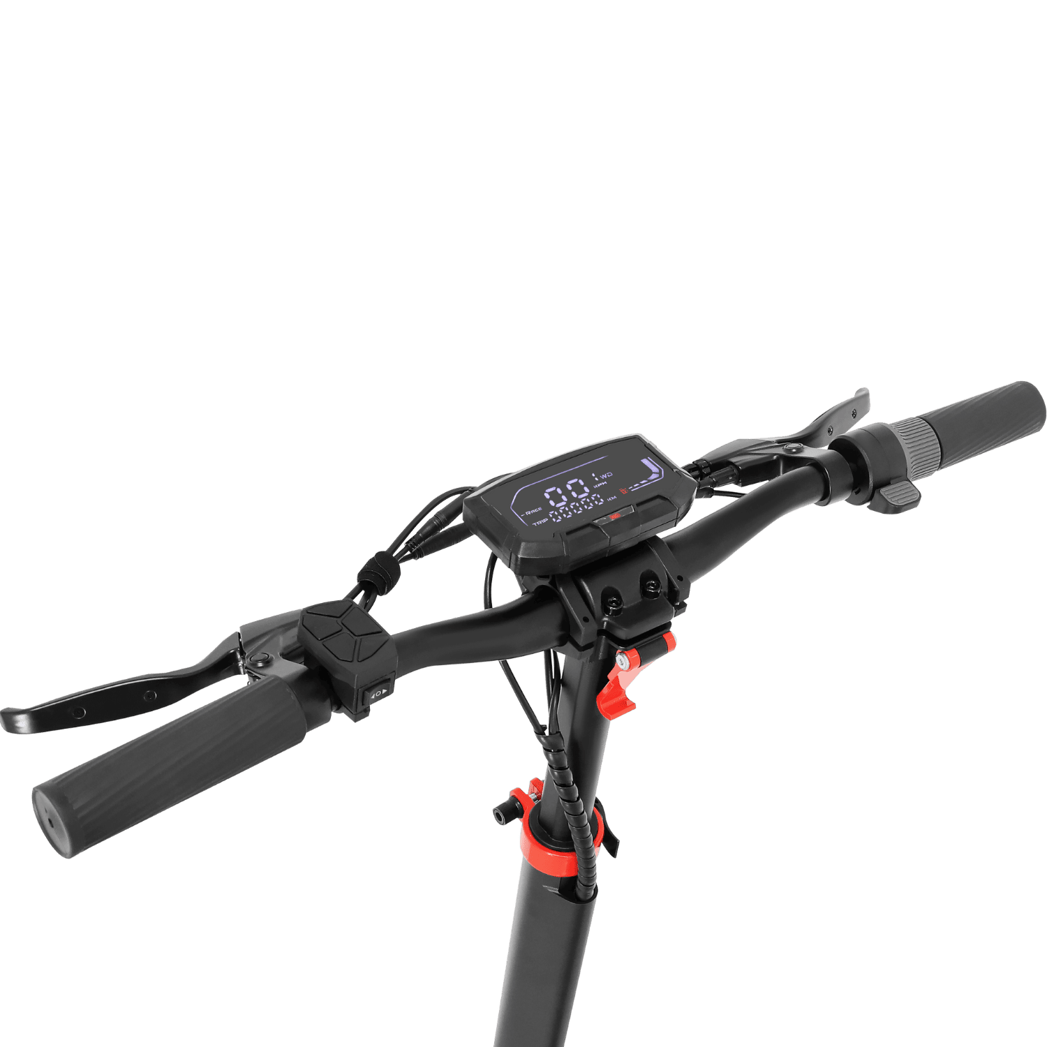 zwolf 05 zwolf 05